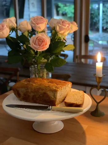 Alena Kate Pettitt Instagram