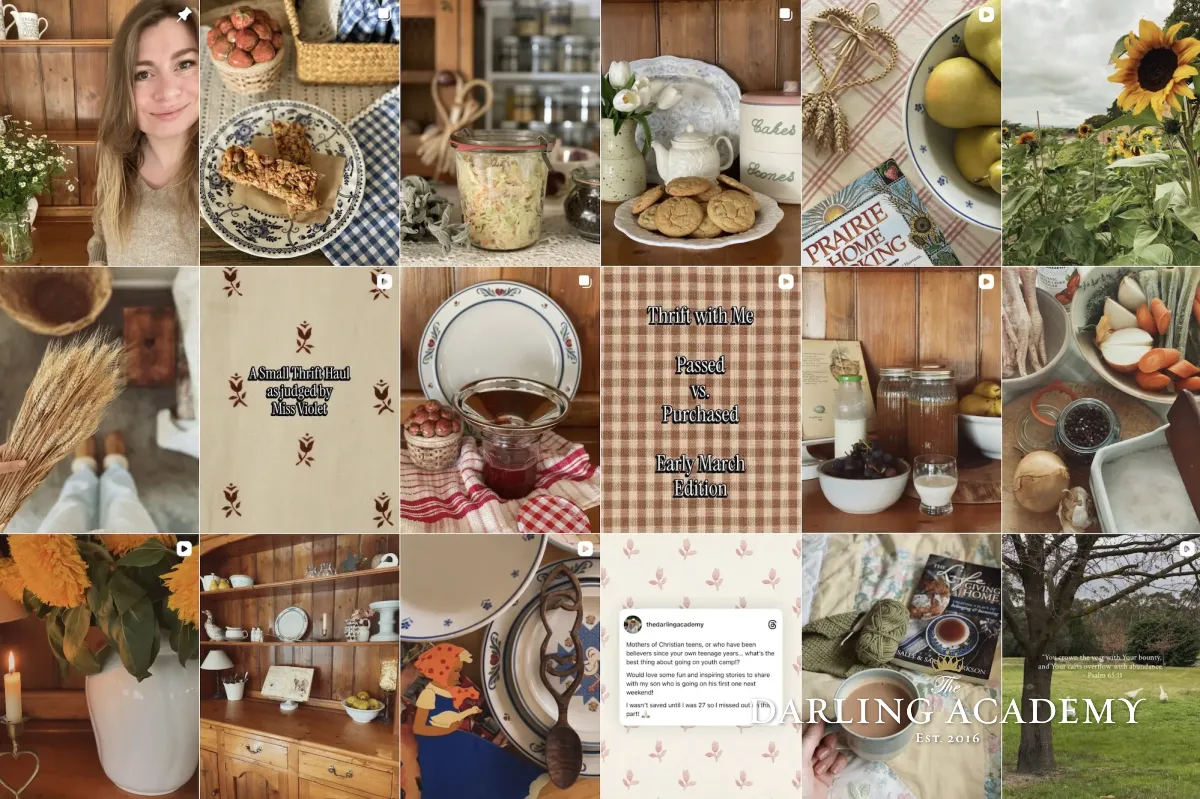 Thedarlingacademyinstagram