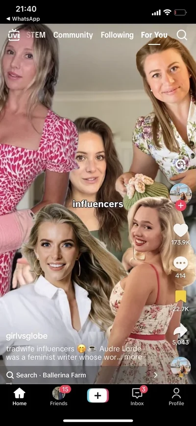 Tradwife Influencers Yesteryear