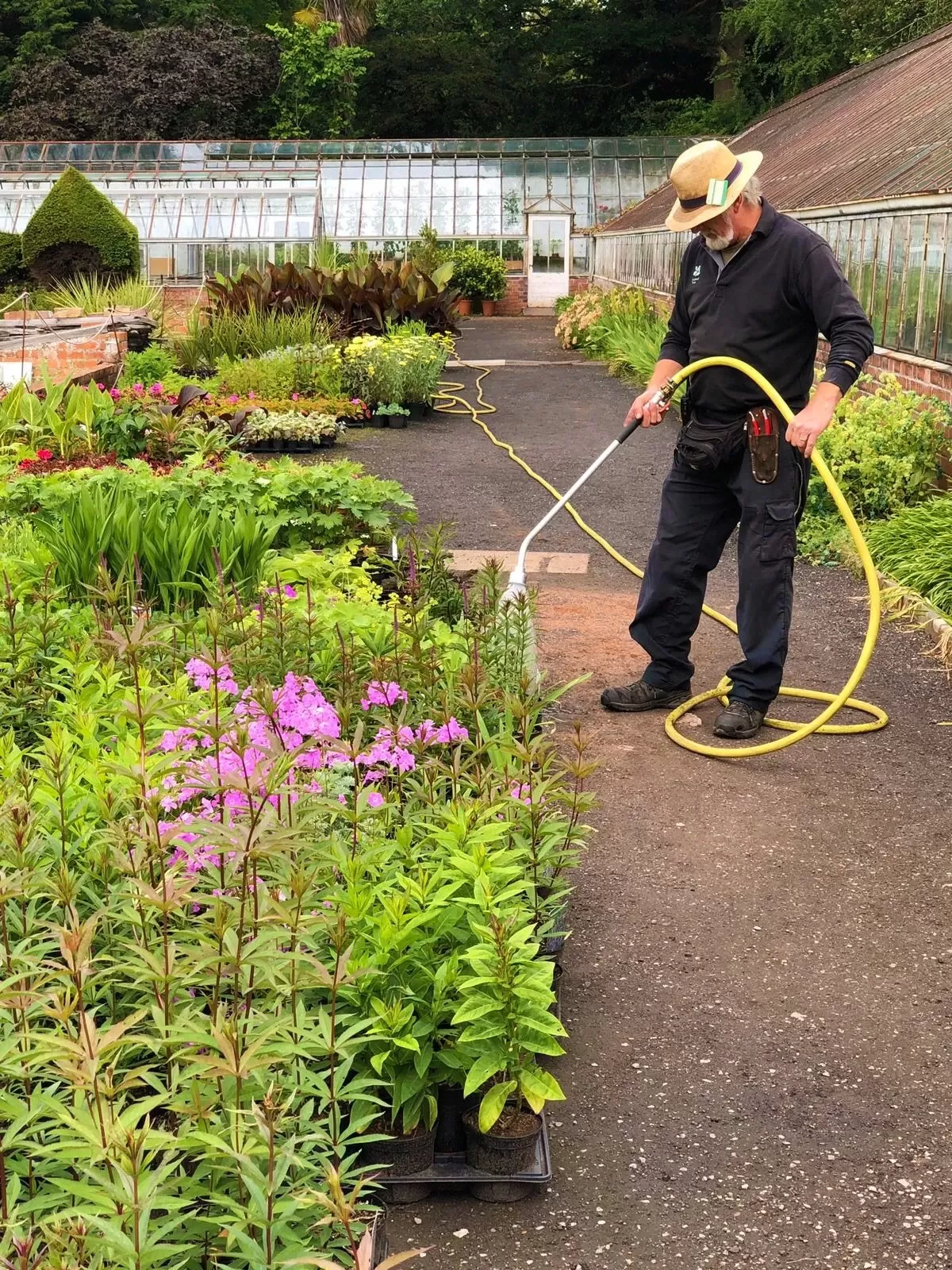 National Trust Volunteer Garden