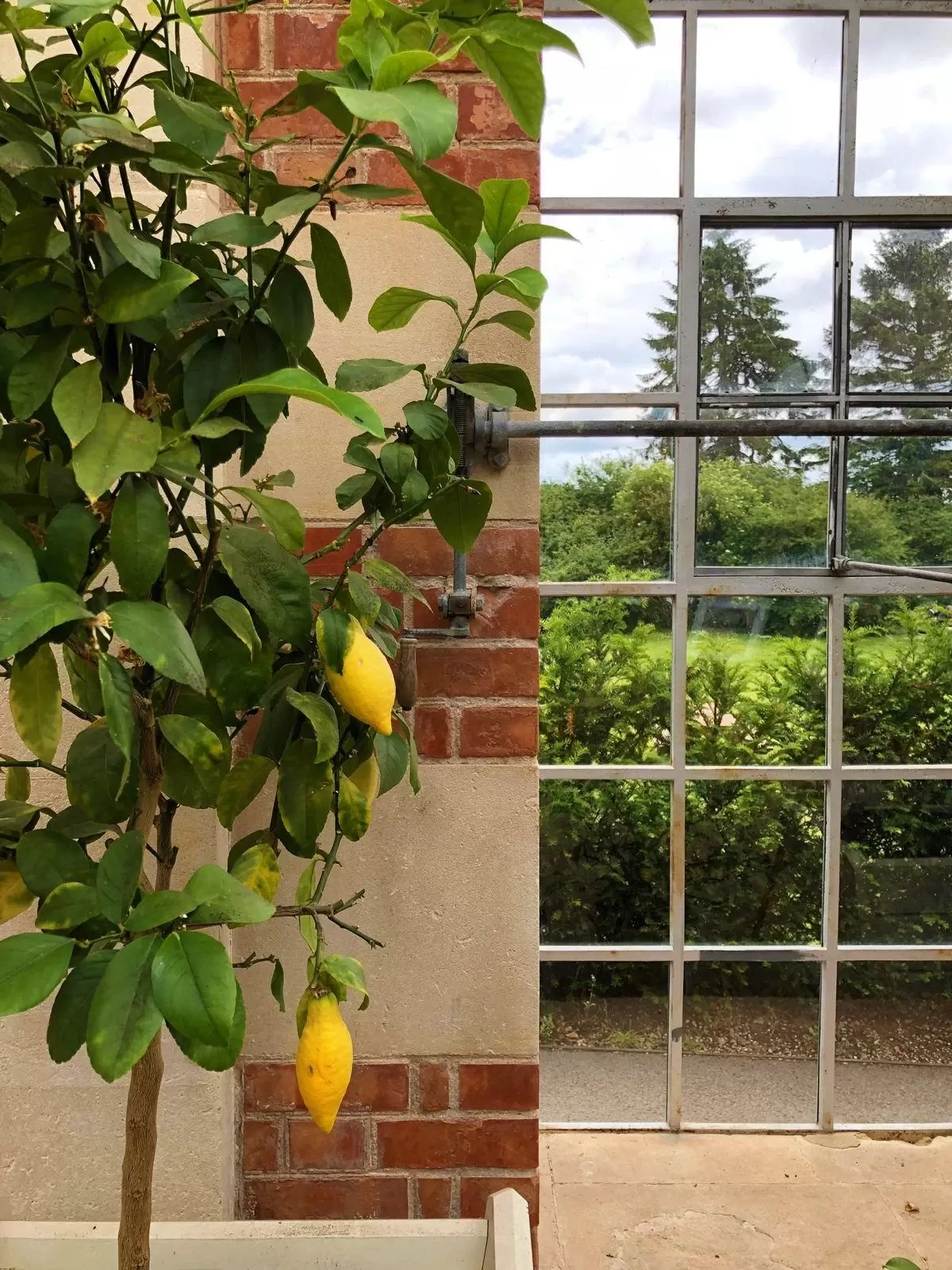 Tyntesfield Victorian Orangery