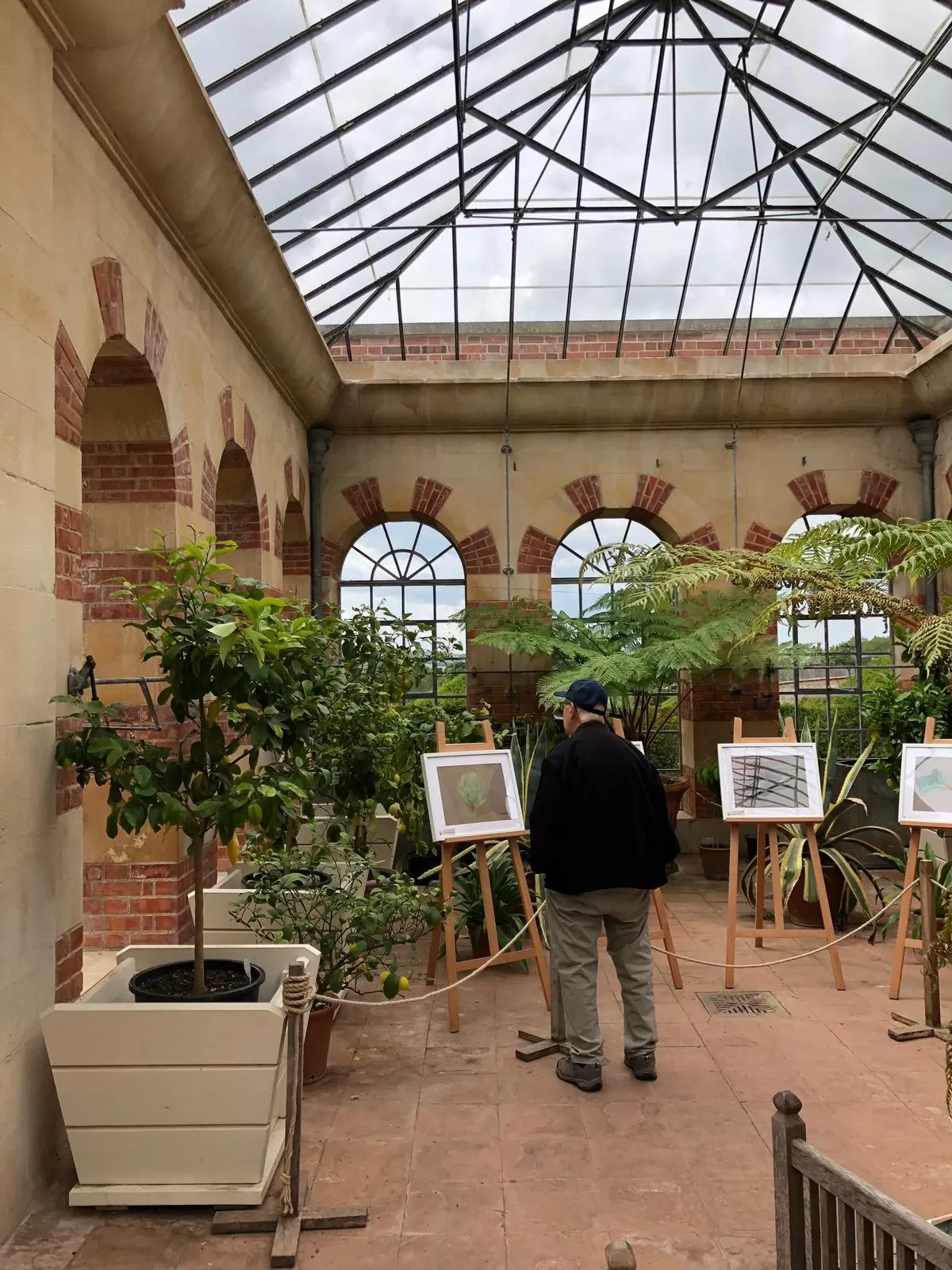 Victorian Orangery Restored Tyntesfield