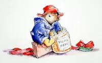 Paddington Bear