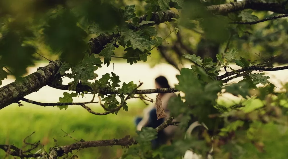 Fairyland Cottage youtube