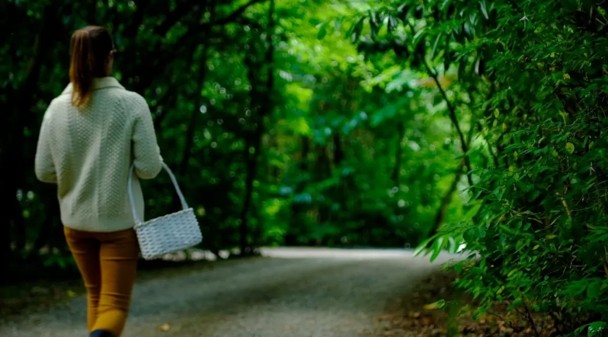 Simple sustainable living fairyland cottage review