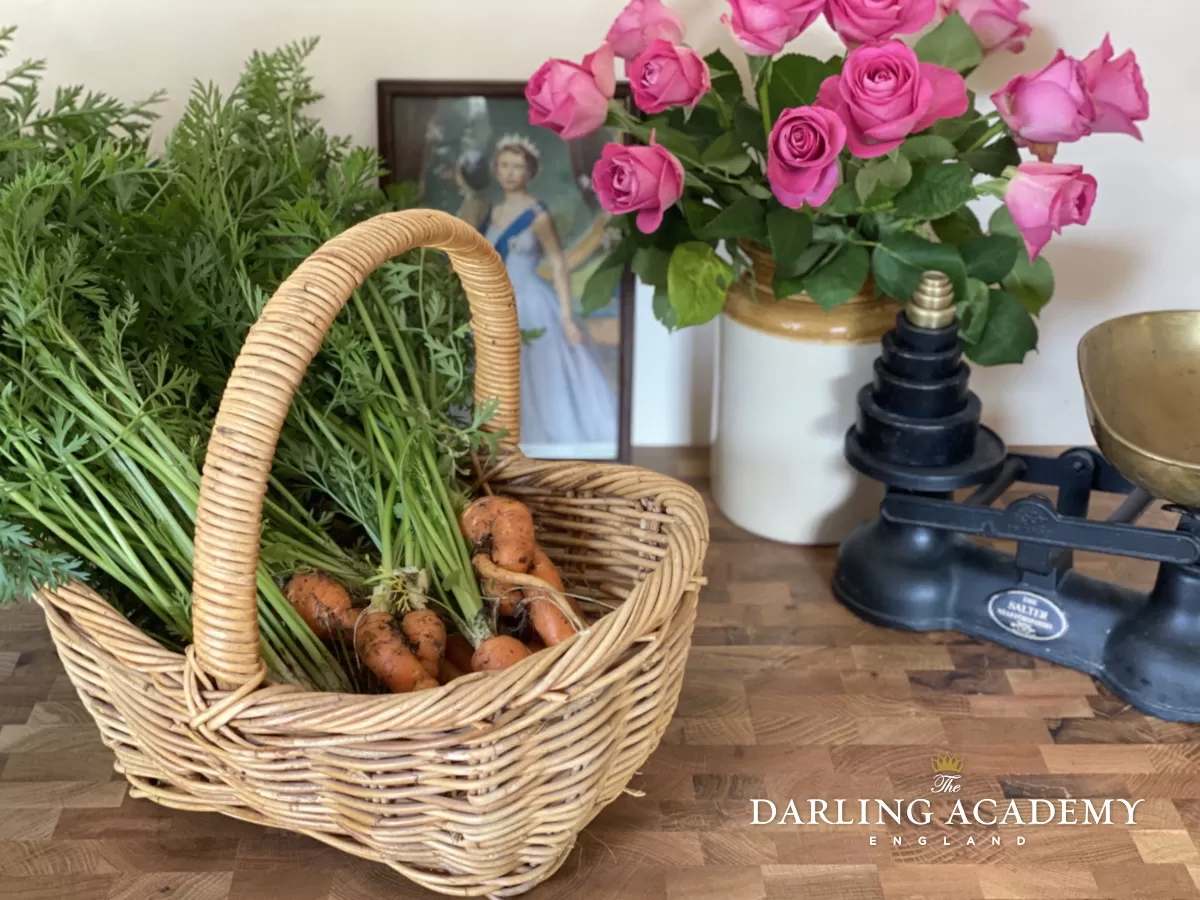 natural and organic gardening