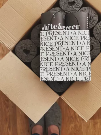 bamboo toilet paper White & Green