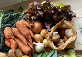 How to start meal planning: a housewife's guide