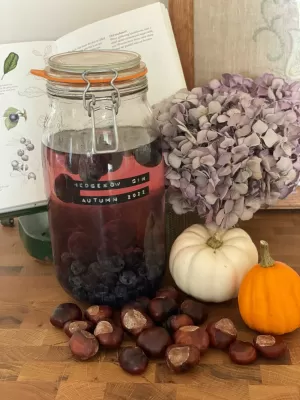 How to make sloe Gin