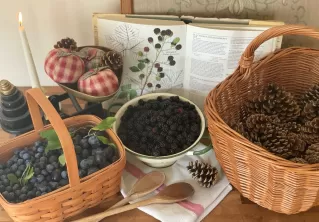 How to make an Autumnal Hedgerow Gin