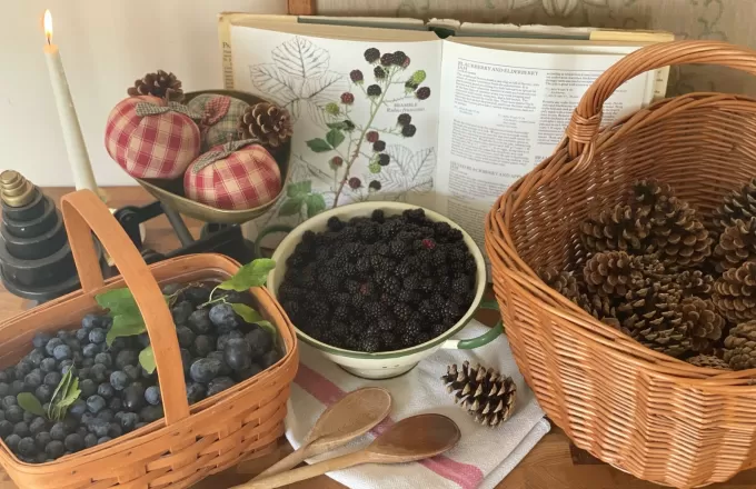 How to make an Autumnal Hedgerow Gin