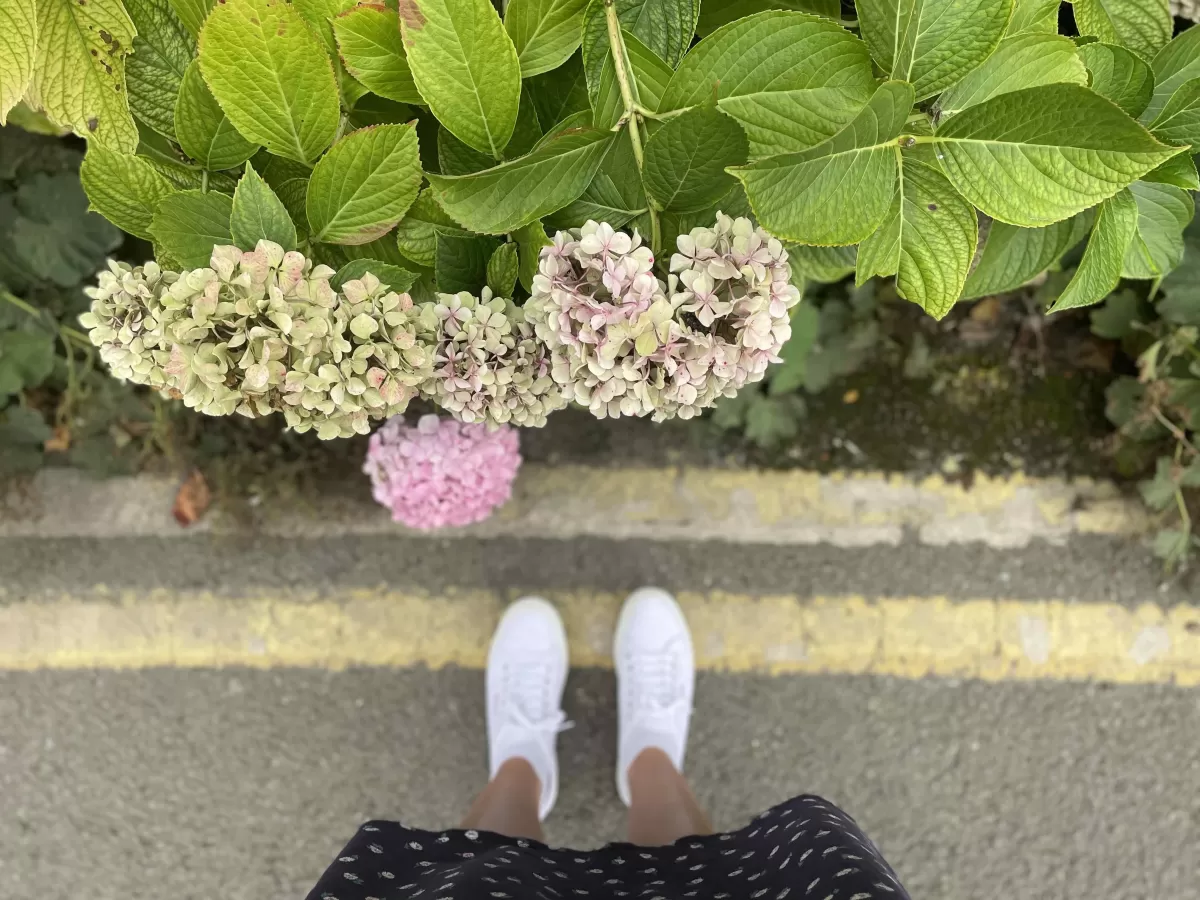 Cotswolds lifestyle blogger