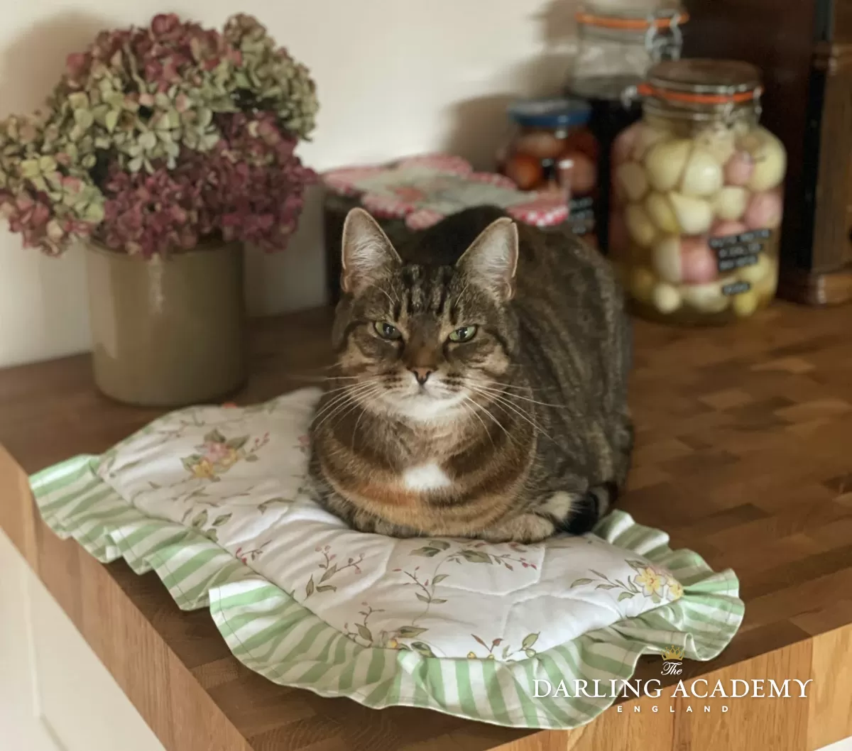 Cat hot water bottle