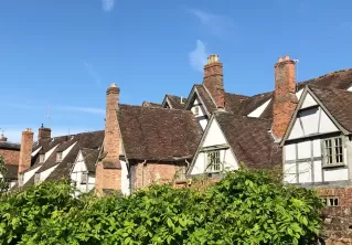 The Darling things of May, and making Dandelion Honey