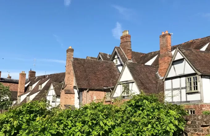 The Darling things of May, and making Dandelion Honey