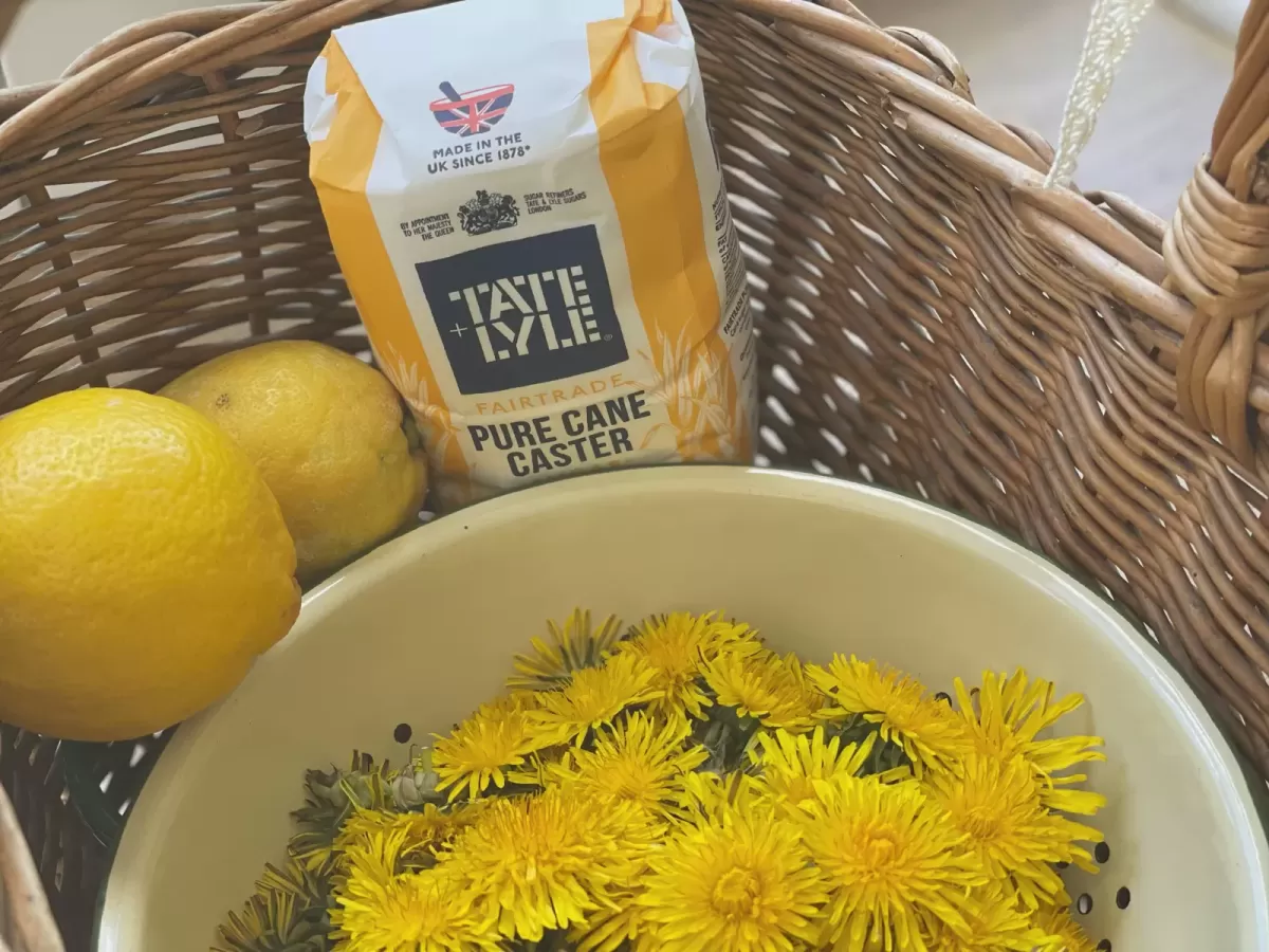 Making Dandelion Honey