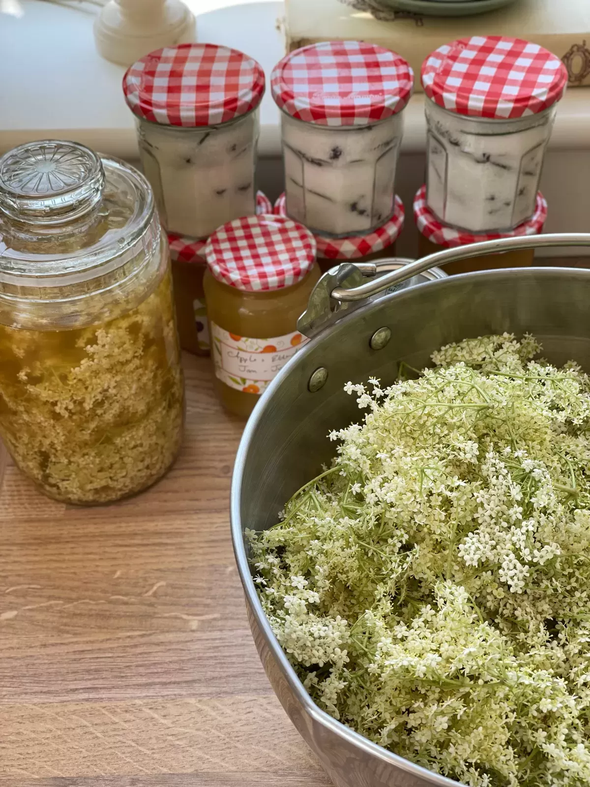 Go Foraging With Friends