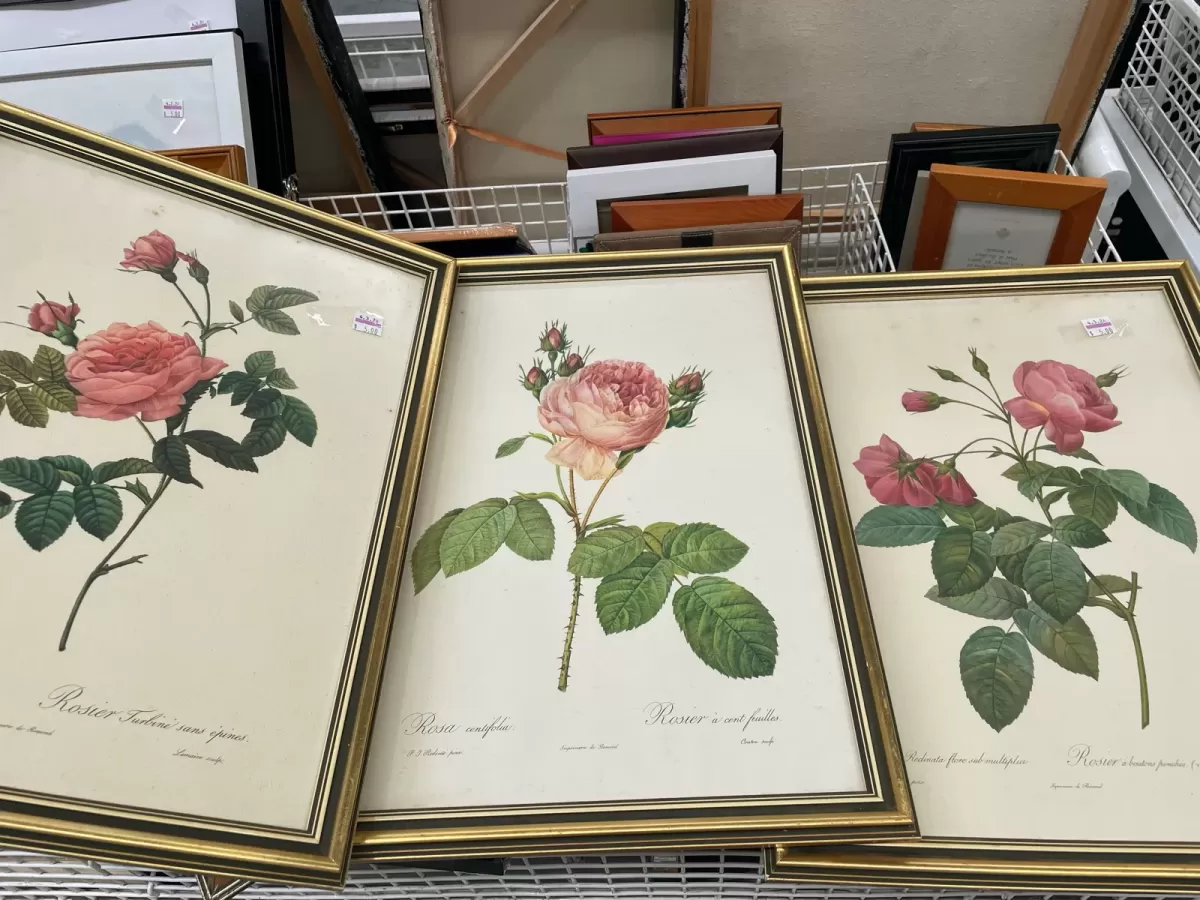 Thrifting_vintage_australia_vinnies