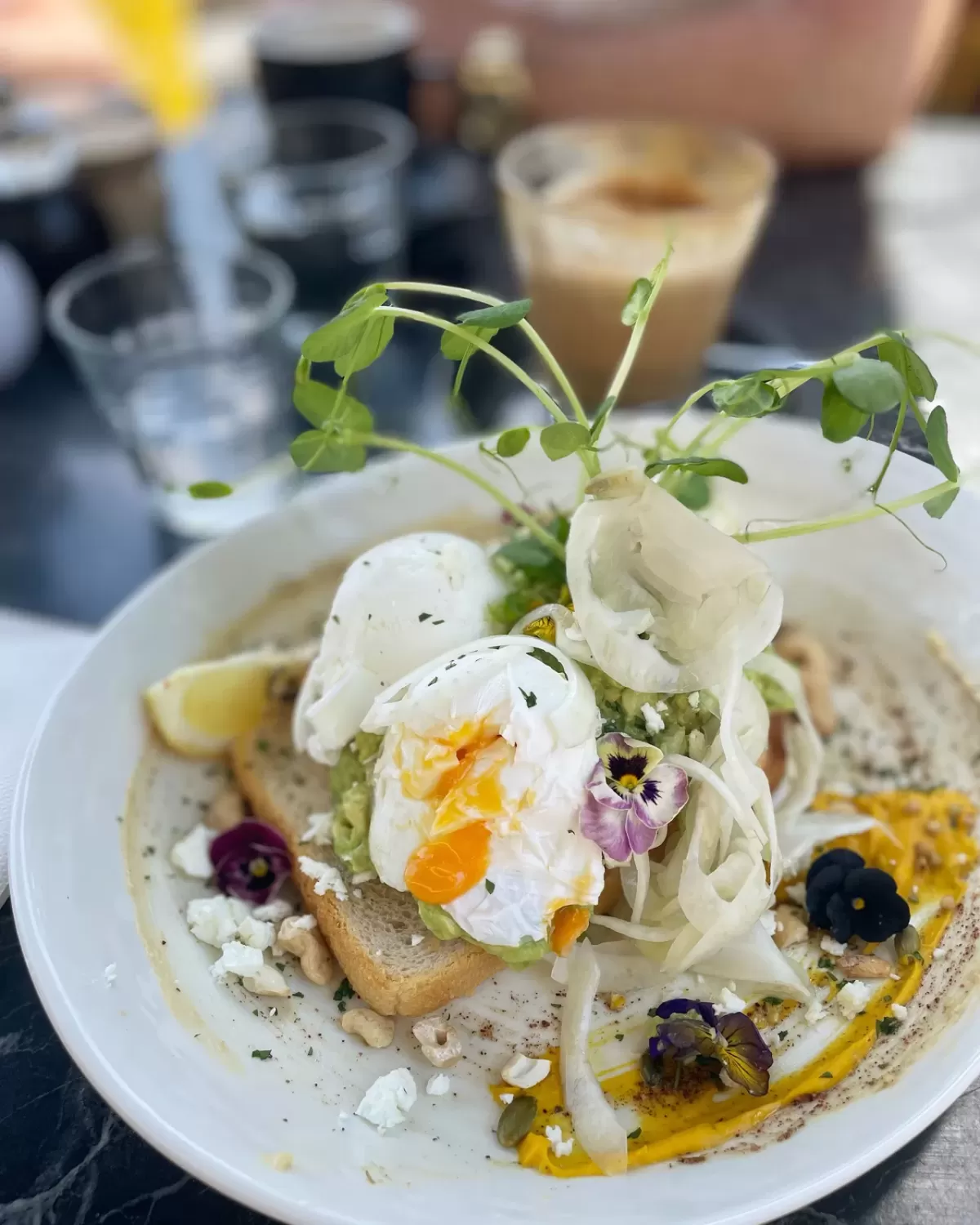 Brekkie_in_australia