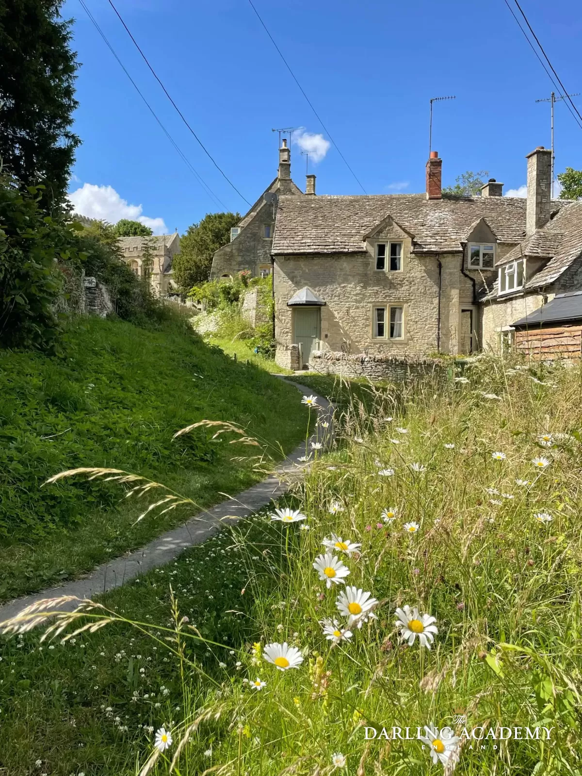 A Walk In The Countryside