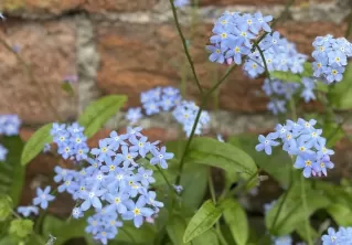 Barbie, Housewives, and Magazines