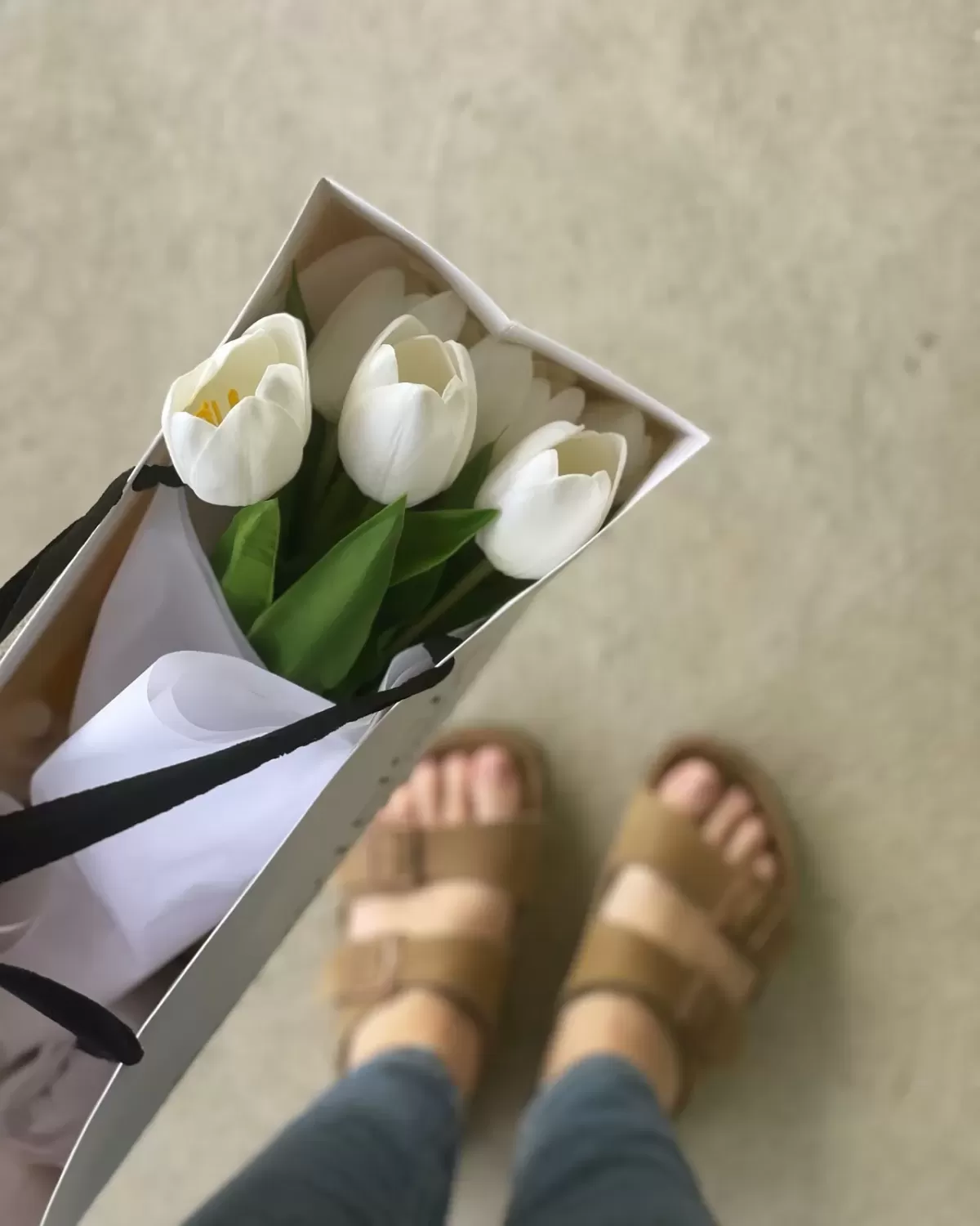 Provincial Home Living