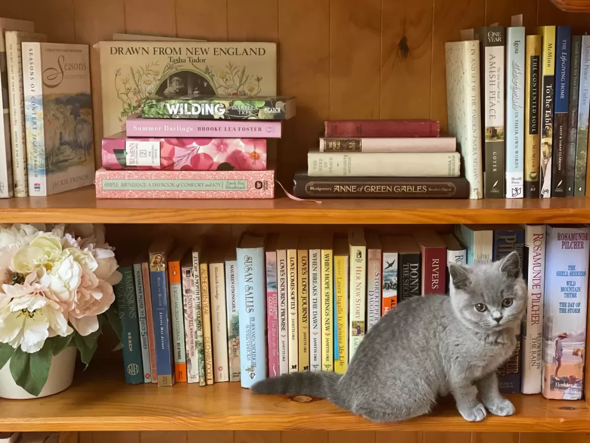 British Shorthair In Books