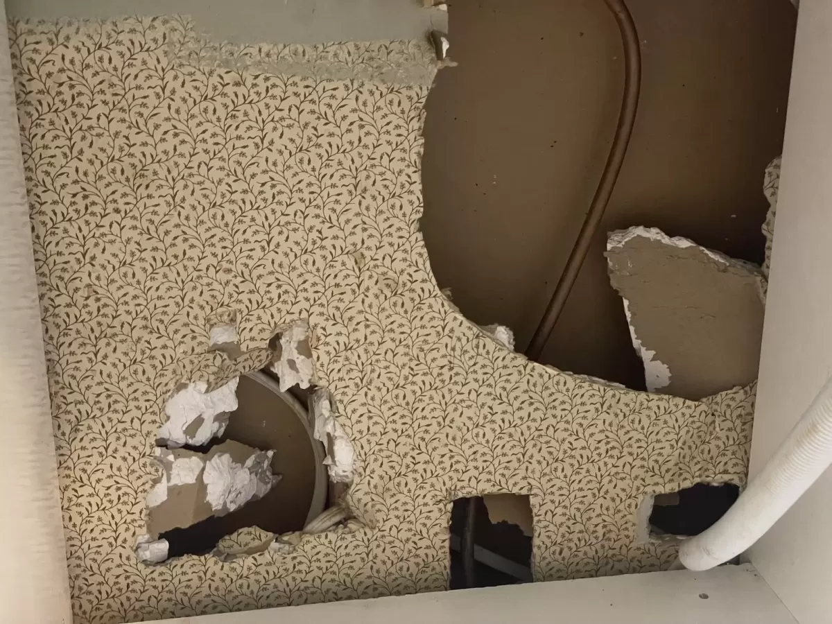 1940s Wallpaper Renovation