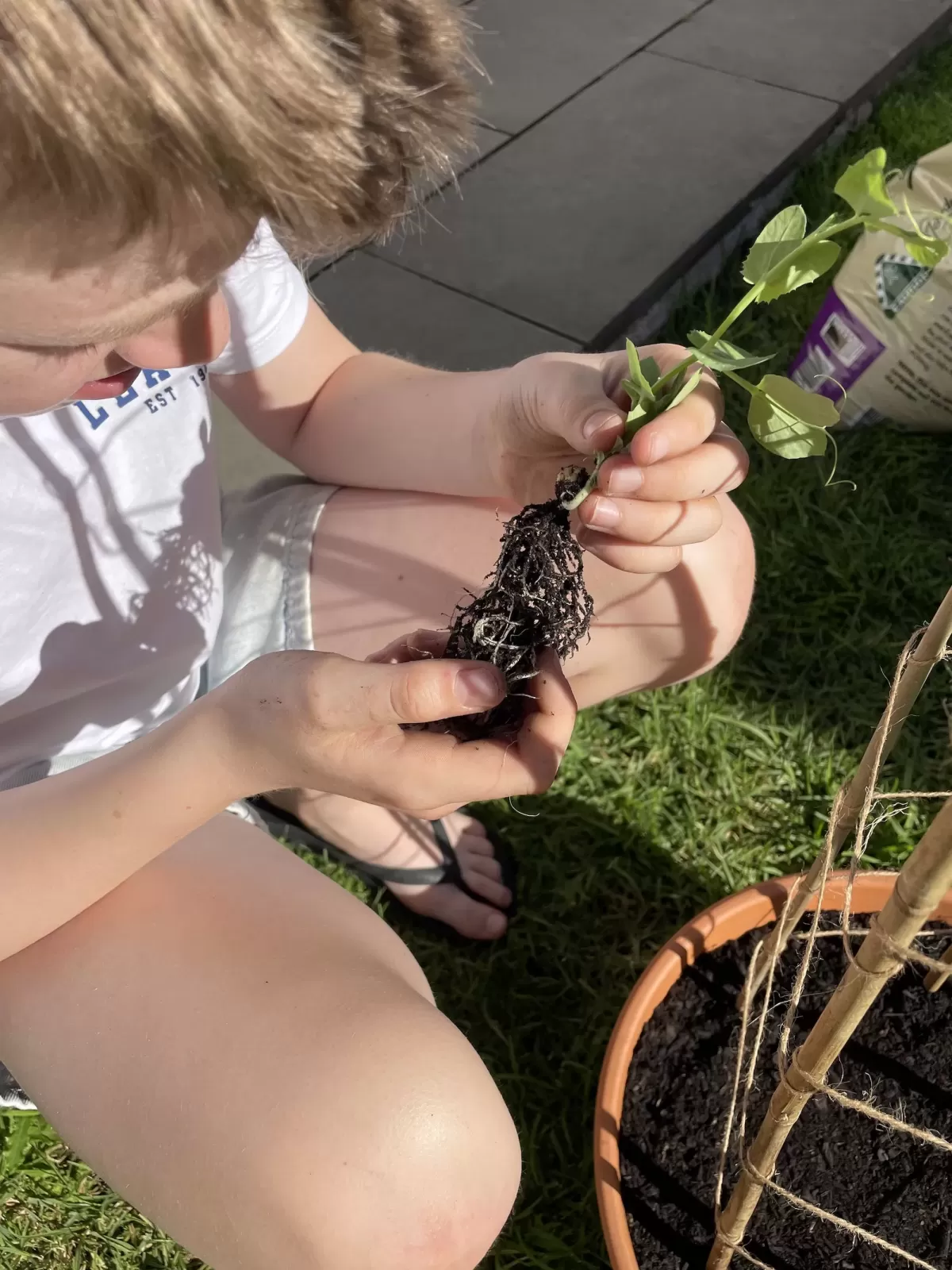 Planting A Vegetable Garden