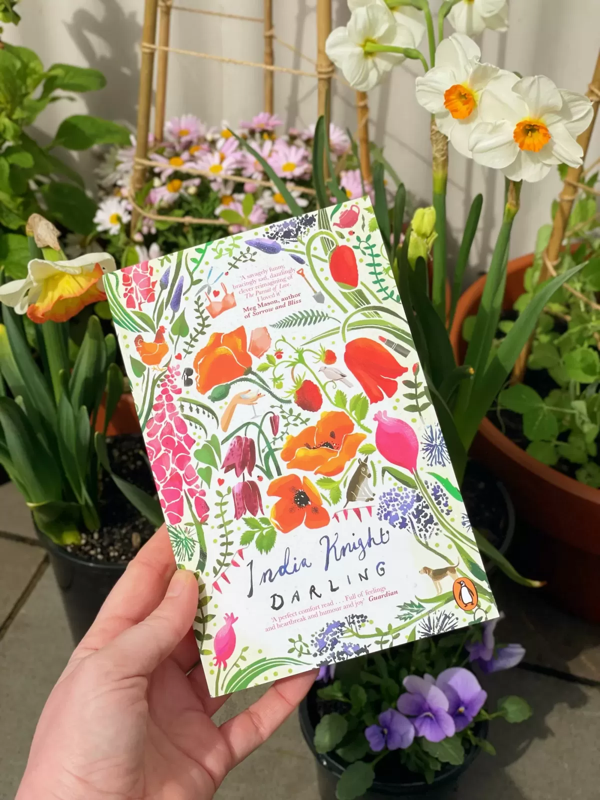 India Knight Darling Book