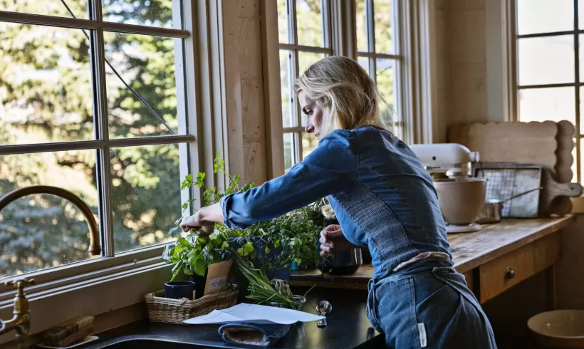 Why Traditional Wives and Homemakers like Ballerina Farm face so much online criticism