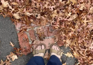 Ten Autumn days and one glamorous velvet evening