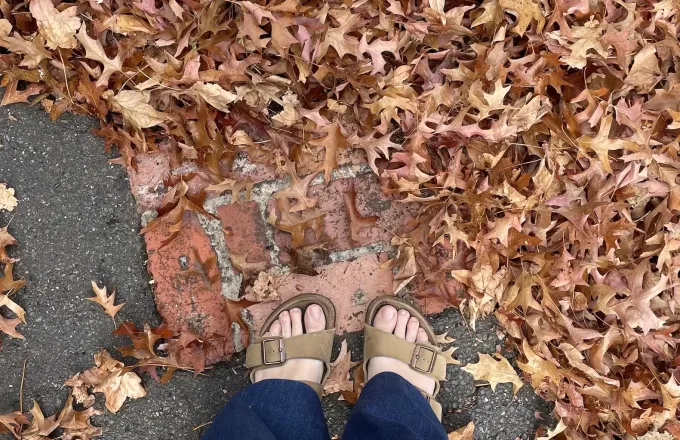 Ten Autumn days and one glamorous velvet evening